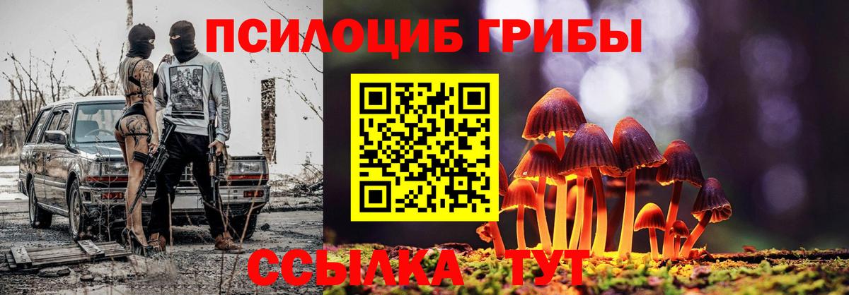 наркотики  Галлюциногенные грибы Psilocybe  Краснознаменск  Вход с VPN  Псилоцибиновые грибы мицелий 